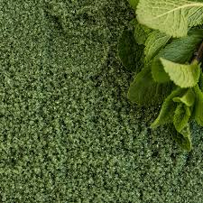 Arôme naturel menthe